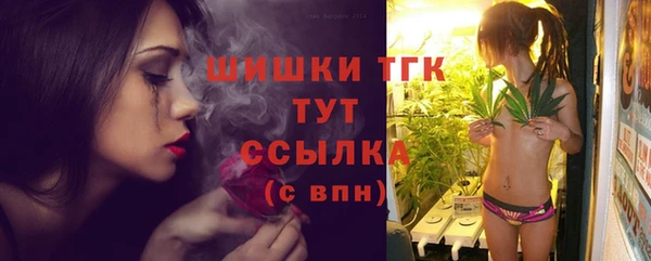 кокс Касимов