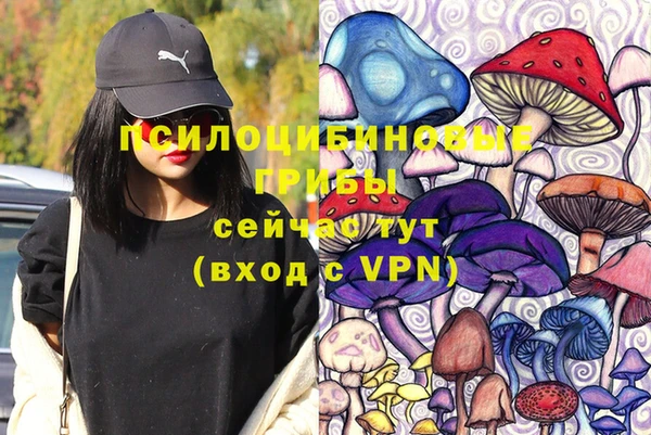 кокс Касимов