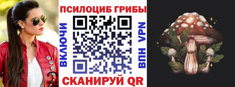 Купить  Урень  Псилоцибиновые грибы MAGIC MUSHROOMS 